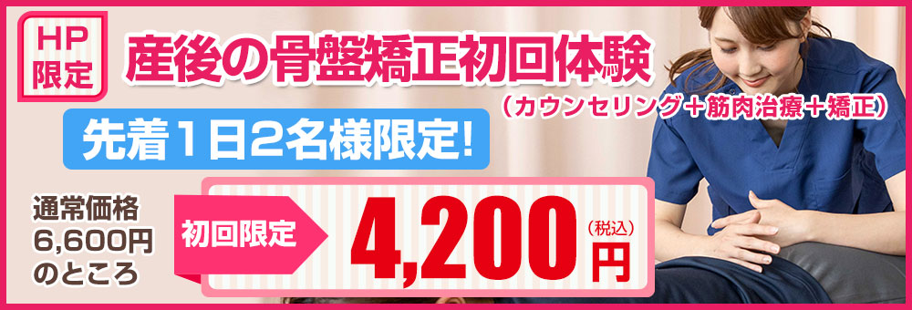 HP限定初回特別価格4200円